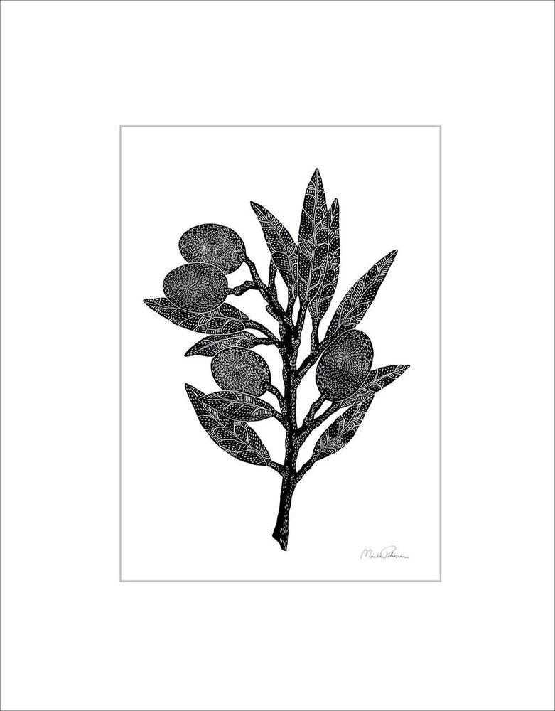 Monika Petersen Monika Petersen Mini Poster Olive branch A5
