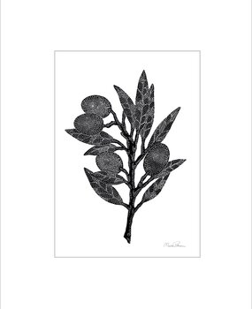 Monika Petersen Monika Petersen A5 Mini Poster Olijftak