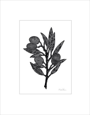 Monika Petersen Monika Petersen Mini Poster Olive branch A5