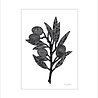 Monika Petersen Monika Petersen Mini Poster Olive branch A5