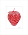 Monika Petersen Mini Poster Strawberry red A5