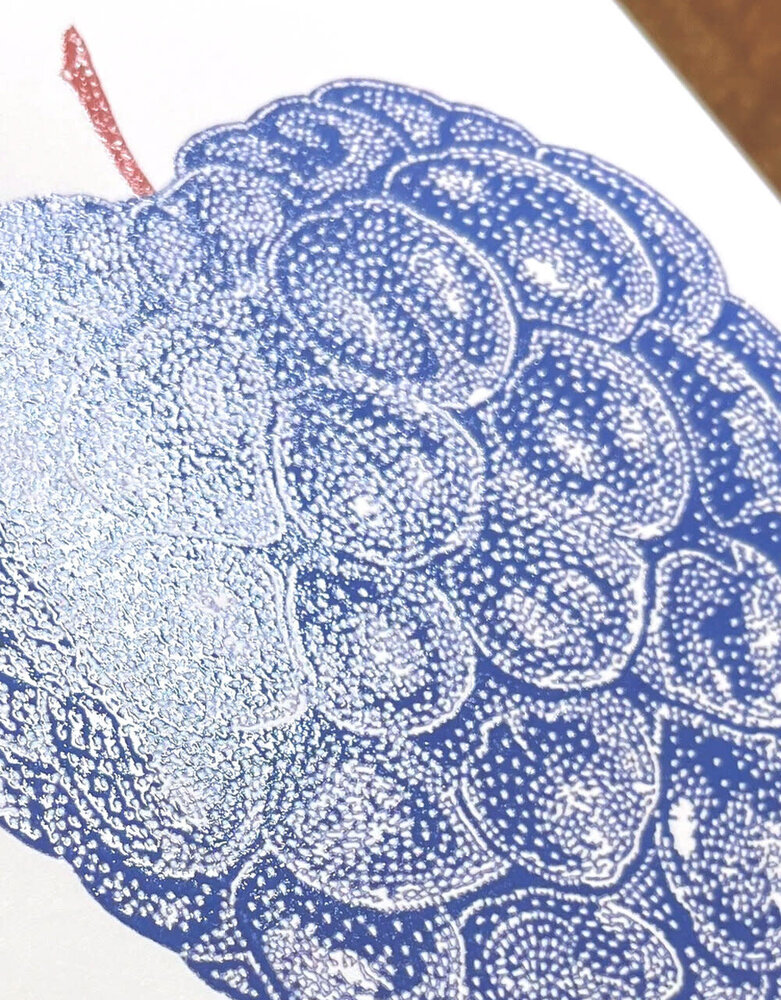 Monika Petersen Monika Petersen Mini Poster Blackberry A5