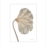 Monika Petersen Monika Petersen Mini Poster Klaproos #1  A5