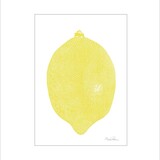 Monika Petersen Monika Petersen Mini Poster Lemon yellow A5 Monika Petersen Monika Petersen Mini Poster Lemon yellow A5