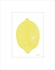 Monika Petersen Mini Poster Lemon yellow A5