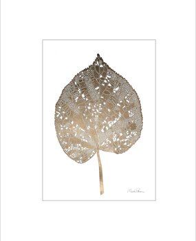 Monika Petersen Monika Petersen Mini Poster Giant Leaf A5 Monika Petersen Monika Petersen Mini Poster Giant Leaf A5