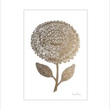 Monika Petersen Monika Petersen Mini Poster Dahlia A5