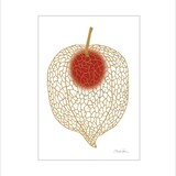 Monika Petersen Monika Petersen A5 Mini Poster Chinese Lantaarn