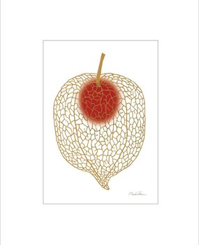 Monika Petersen Monika Petersen A5 Mini Poster Chinese Lantaarn