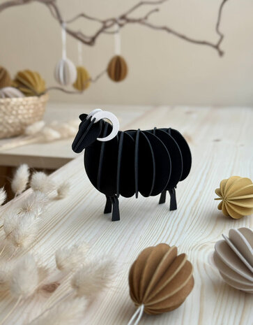 LOVI LOVI Ram (various sizes) black