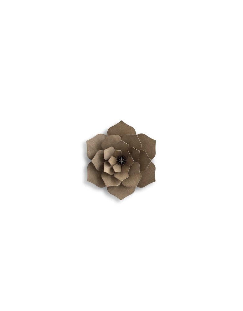 LOVI Lovi Decor Flower Bruin - 4 formaten - Berkenhout 3D DIY pakket LOVI Lovi Decor Flower Bruin - 4 formaten - Berkenhout 3D DIY pakket