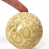 Studio Arhoj Studio Arhoj Pearls for the wall per piece - PEARL 38