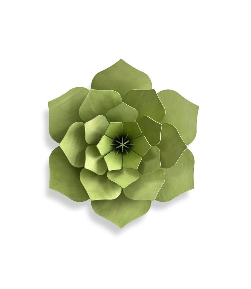 LOVI Lovi Decor Flower Pale Green - 4 formaten - Berkenhout 3D DIY pakket