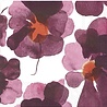 Marimekko Marimekko Valssi Papieren Servetten 33x33cm Bordeaux