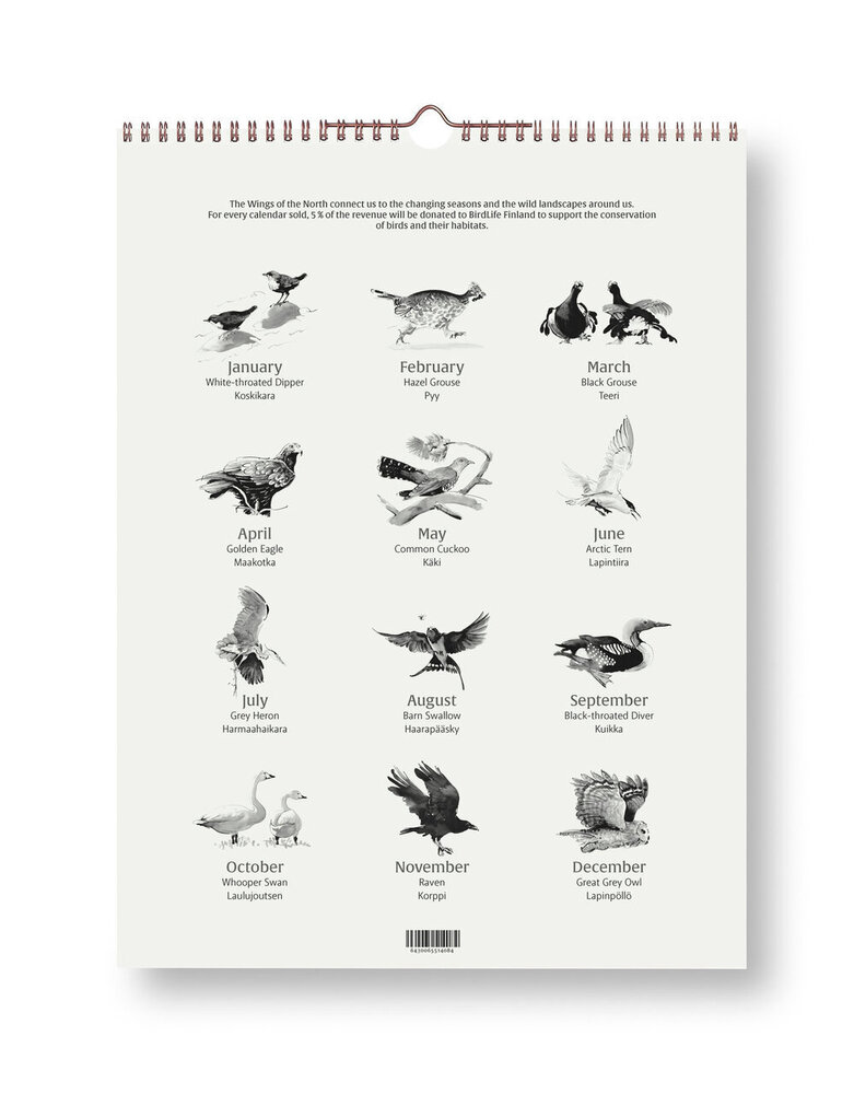 Teemu Järvi Teemu Järvi 2027 maand kalender - Wings of the North 30x40cm