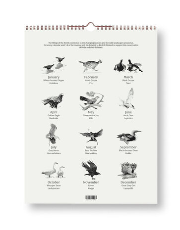 Teemu Järvi Teemu Järvi 2027 maand kalender - Wings of the North 30x40cm