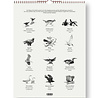 Teemu Järvi Teemu Järvi 2027 maand kalender - Wings of the North 30x40cm