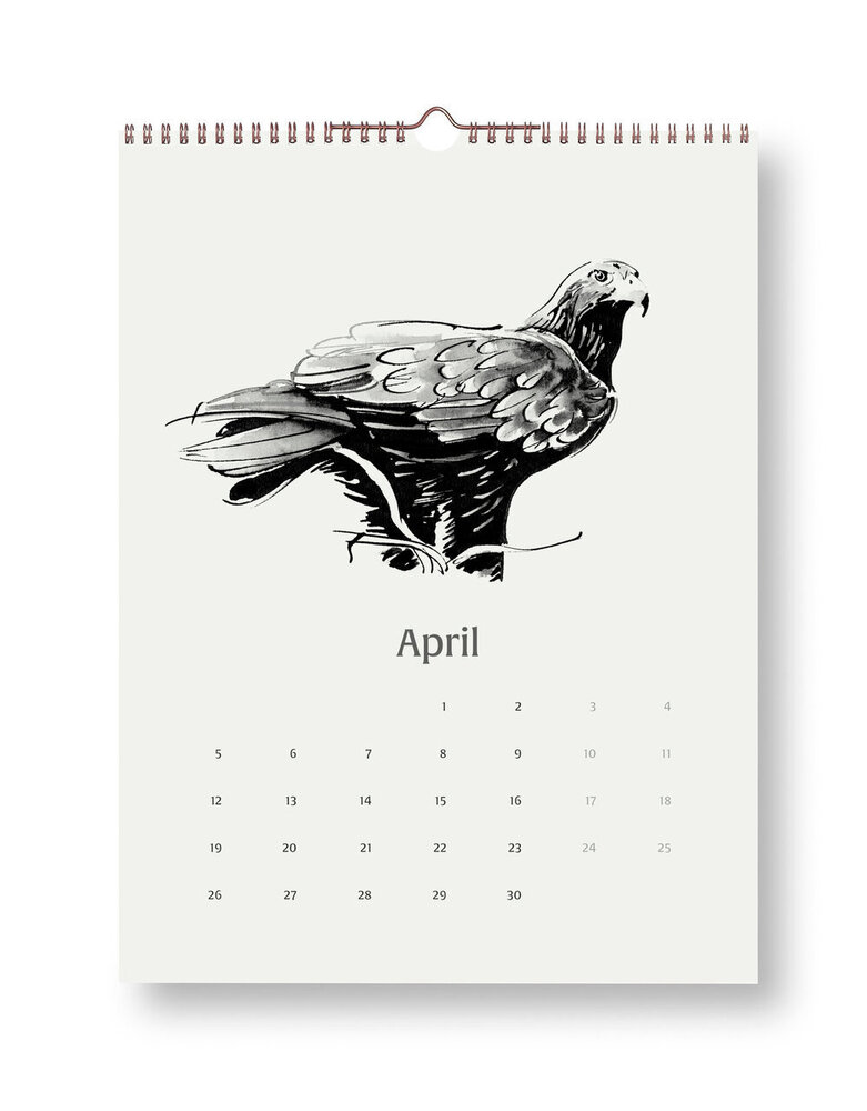 Teemu Järvi Teemu Järvi 2027 maand kalender - Wings of the North 30x40cm