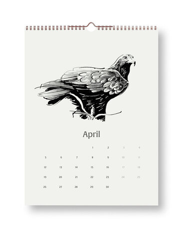Teemu Järvi Teemu Järvi 2027 month calendar - Wings of the North 30x40cm Teemu Järvi Teemu Järvi 2027 month calendar - Wings of the North 30x40cm