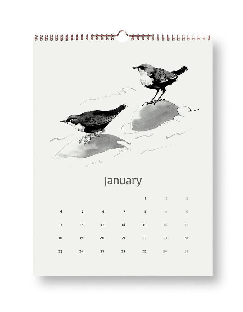 Teemu Järvi Teemu Järvi 2027 month calendar - Wings of the North 30x40cm Teemu Järvi Teemu Järvi 2027 month calendar - Wings of the North 30x40cm