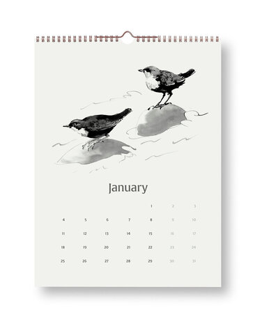 Teemu Järvi Teemu Järvi 2027 month calendar - Wings of the North 30x40cm Teemu Järvi Teemu Järvi 2027 month calendar - Wings of the North 30x40cm
