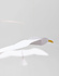 Flensted Mobiles Soaring Seagulls 86x52cm mobile Flensted Mobiles Soaring Seagulls 86x52cm mobile
