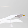 Flensted Mobiles Flensted Mobiles Soaring Seagulls 86x52cm mobiel Flensted Mobiles Flensted Mobiles Soaring Seagulls 86x52cm mobiel