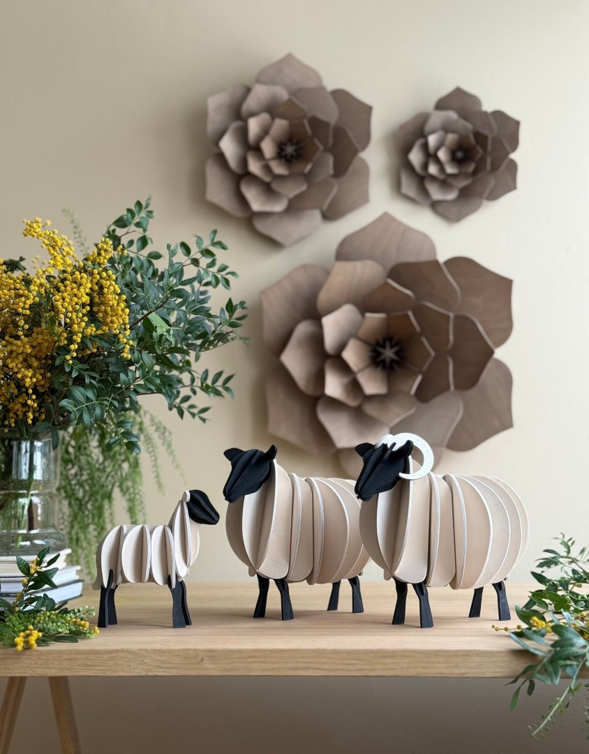 Schaap, Ram en Lam