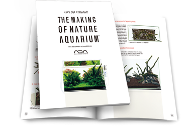 Aquarium Gift Ideas