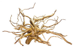 Spiderwood - Red moor wood