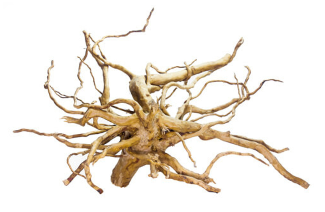 Spiderwood - Red moor wood klein