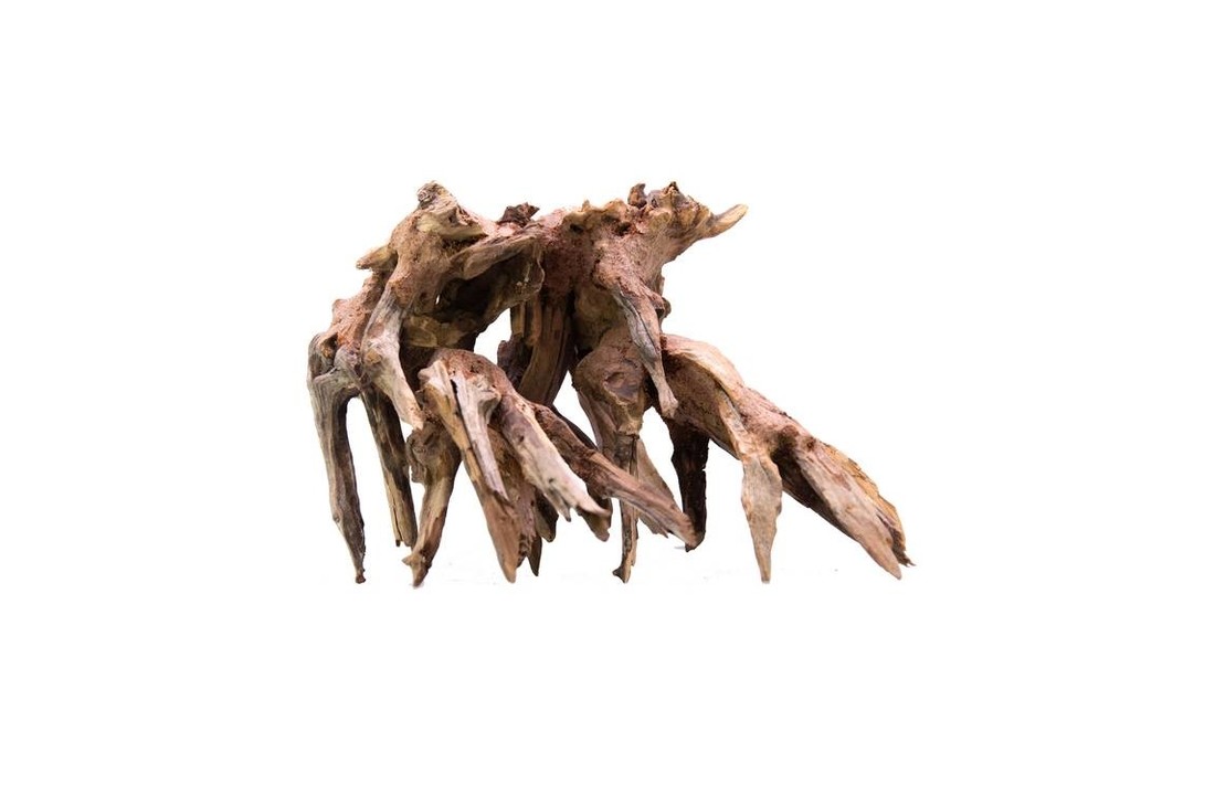 Octopus Wood