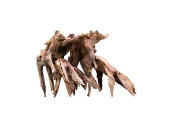 Octopus wood