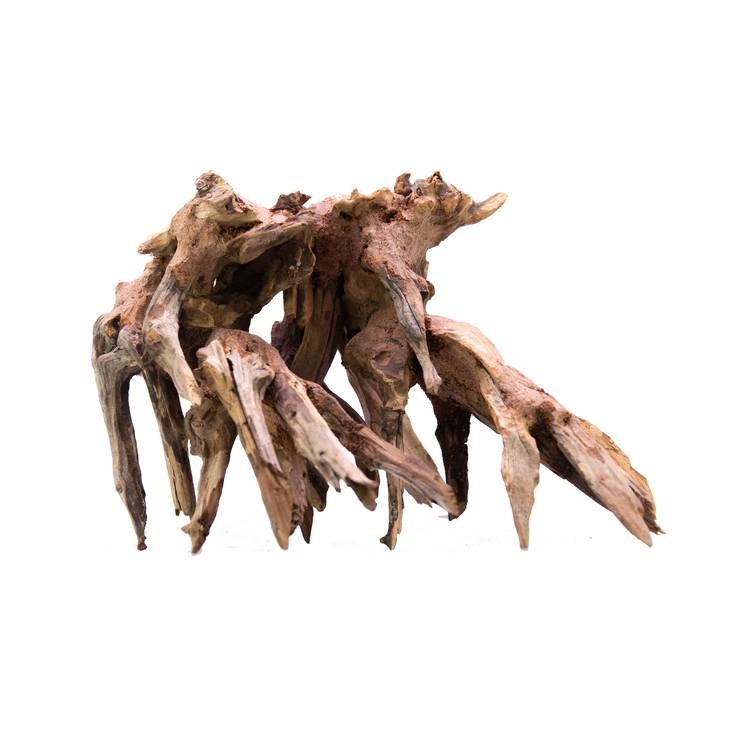 Octopus wood