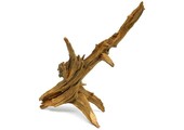 Ent wood
