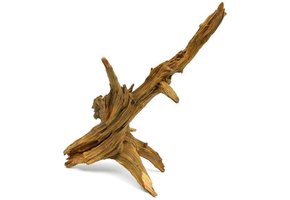 Ent wood