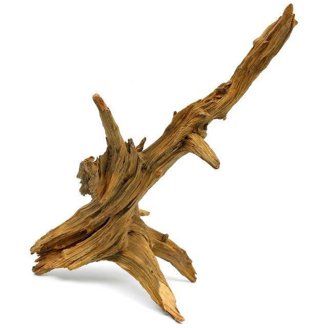 Ent wood