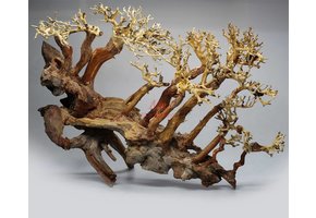 Bonsai Medium