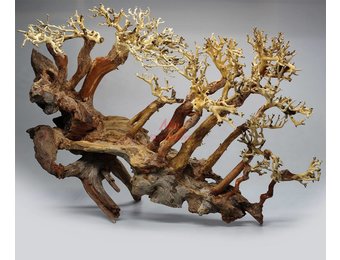 Bonsai Medium