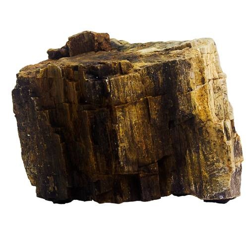 Bois fossilise