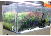 ILA Optic White aquascape aquarium rechthoekig - Aquascaping