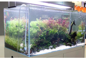 Ila optic white aquascape aquarium rectangular - aquascaping