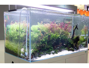 Ila optic white aquarium cube-aquascaping