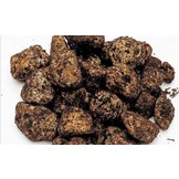 Ada Power Sand Advance - Aquairum Dietfold