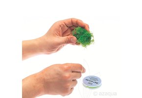 ADA Riccia Line