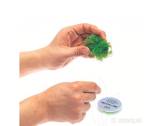 Ada Riccia Line