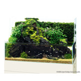 Dooa Neo Glass Terra (H23CM)