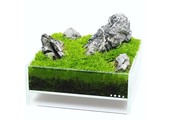Dooa Neo Glass Air