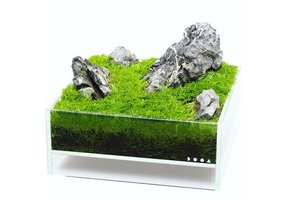Dooa Neo Verre Air