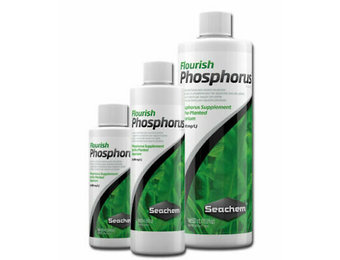 Fleurir phosphore